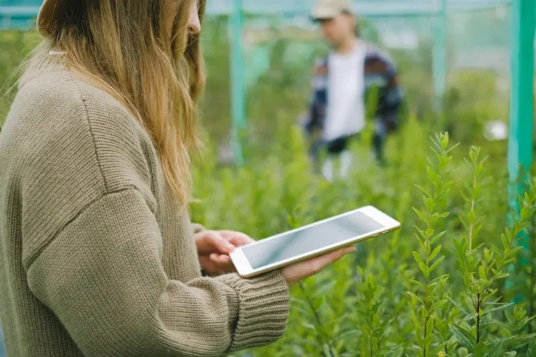 Best Smart Garden Devices for Modern Homes