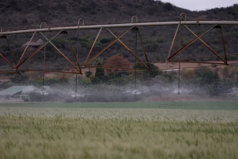 Best Smart Irrigation for Modern Homes