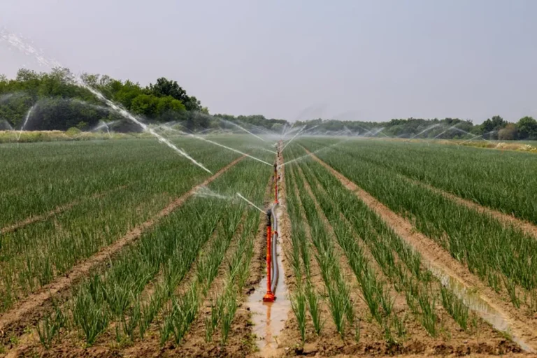 Smart Irrigation Installation Checklist