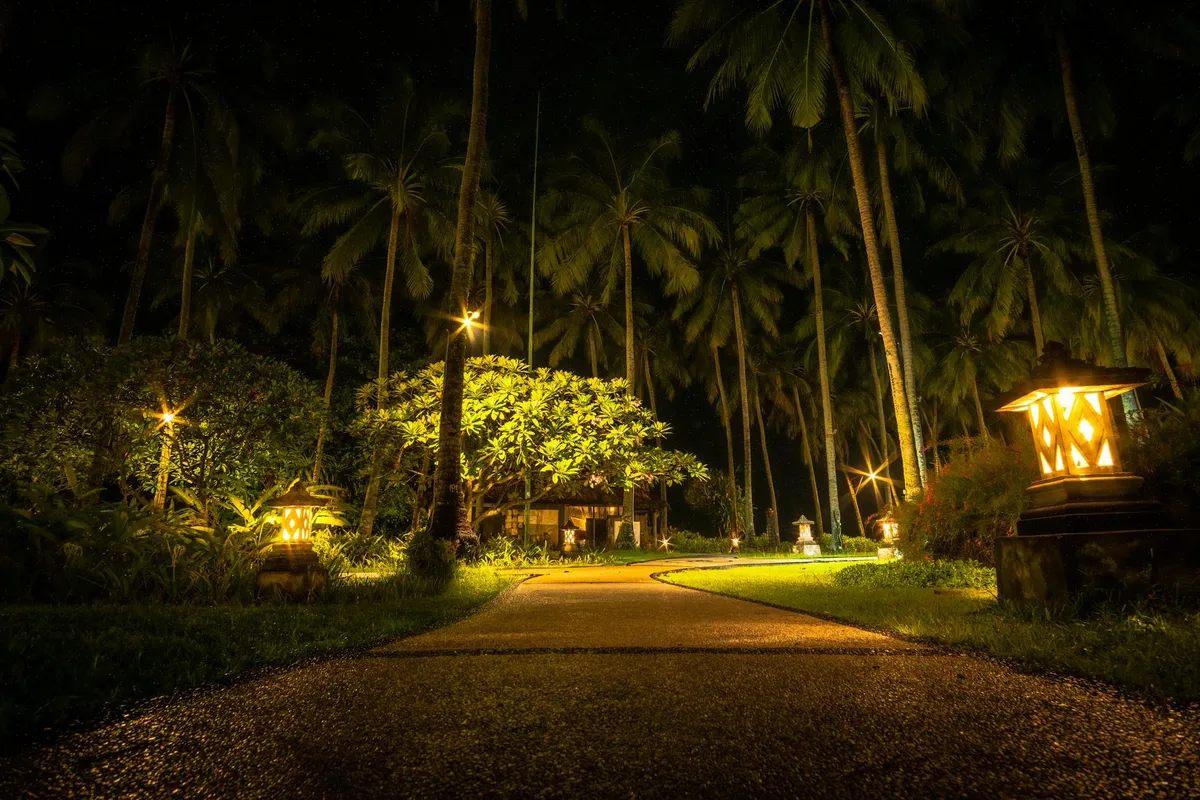 Warm smart outdoor lighting illuminating a backyard pathway in the evening